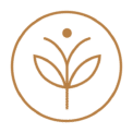 LAAYCA Logo (Gold)